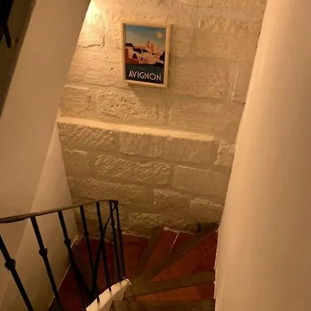 Maison De Caractere Avec Jardin Arbore En Avignon