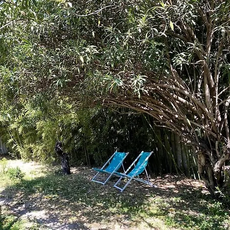 Villa Maison De Caractere Avec Jardin Arbore En