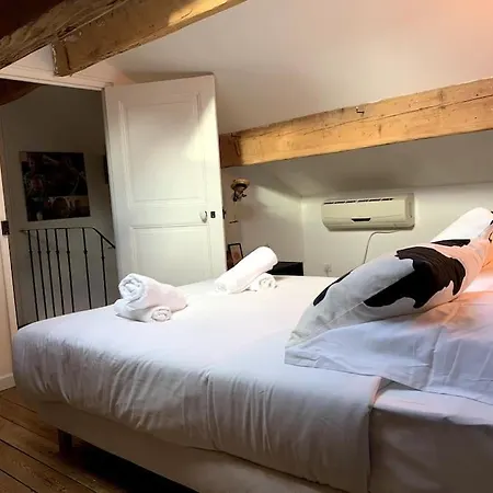 Maison De Caractere Avec Jardin Arbore En Willa Awinion