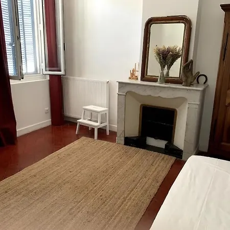 Villa Maison De Caractere Avec Jardin Arbore En