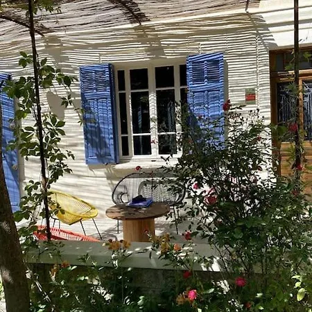 Maison De Caractere Avec Jardin Arbore En Avignon