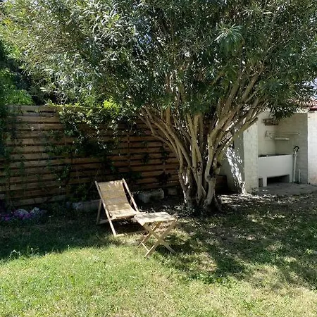 Maison De Caractere Avec Jardin Arbore En * Avignon