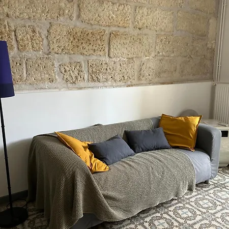 Villa Maison De Caractere Avec Jardin Arbore En *