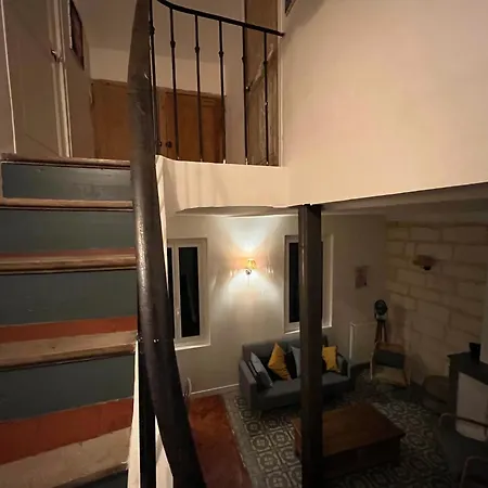 Maison De Caractere Avec Jardin Arbore En Avignon