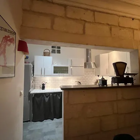 Maison De Caractere Avec Jardin Arbore En * Avignon